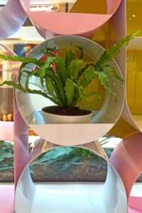 Diseño burbuja comercial