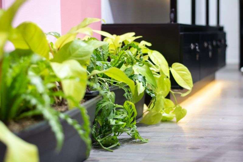 Diseño de interiores locales comerciales