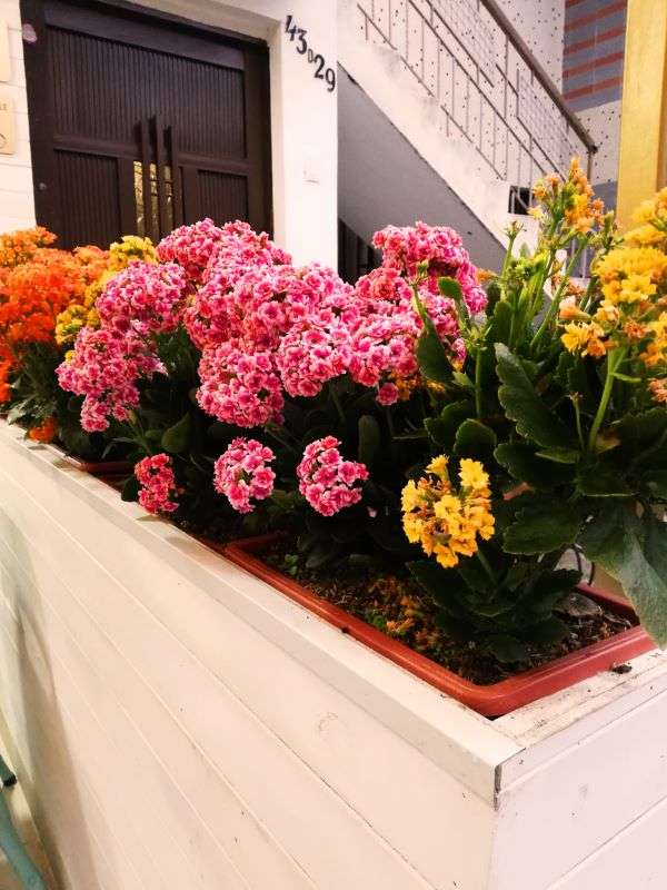 Diseño interior restaurante Medellín